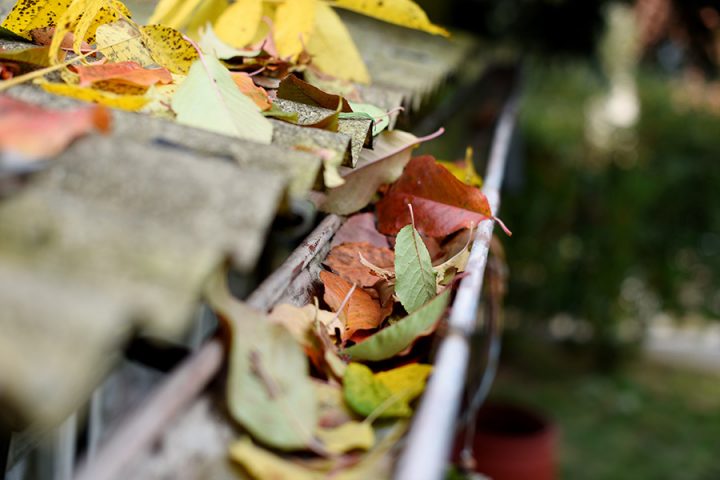 7 raisons pour lesquelles vous avez besoin d’un nettoyage de gouttière à l’automne